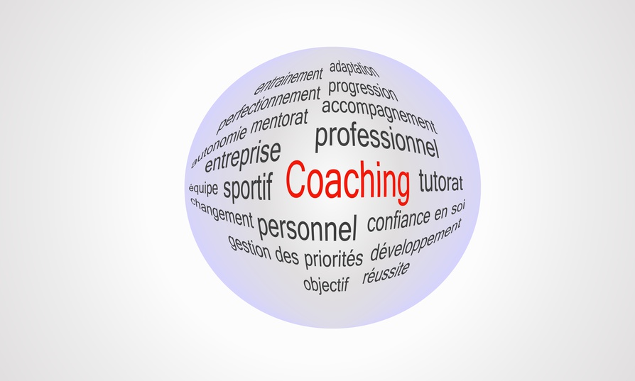entreprises 6 coaching
